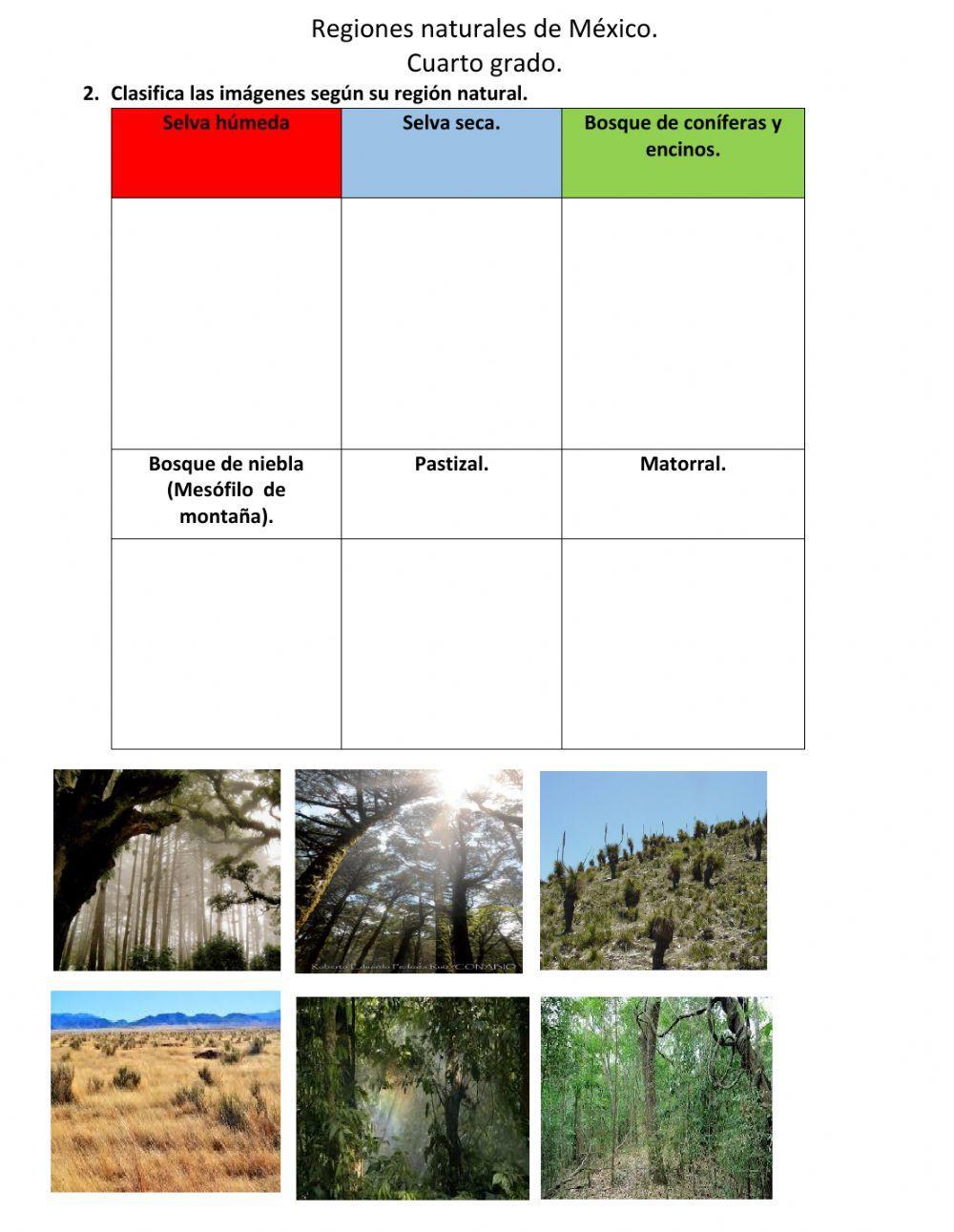 Regiones naturales de México.