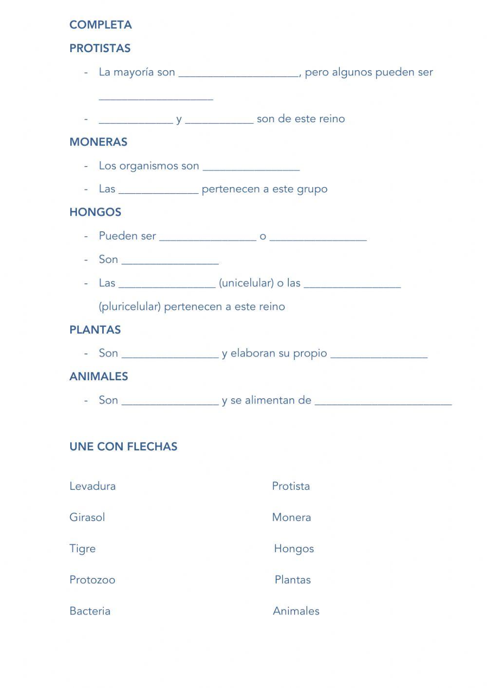 Prueba Reinos Seres Vivos