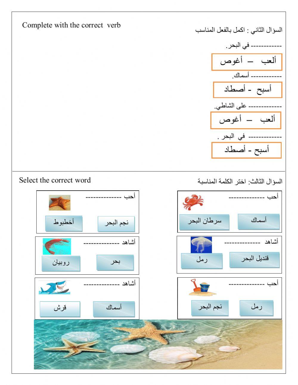 ورقة عمل 3 :في البحر