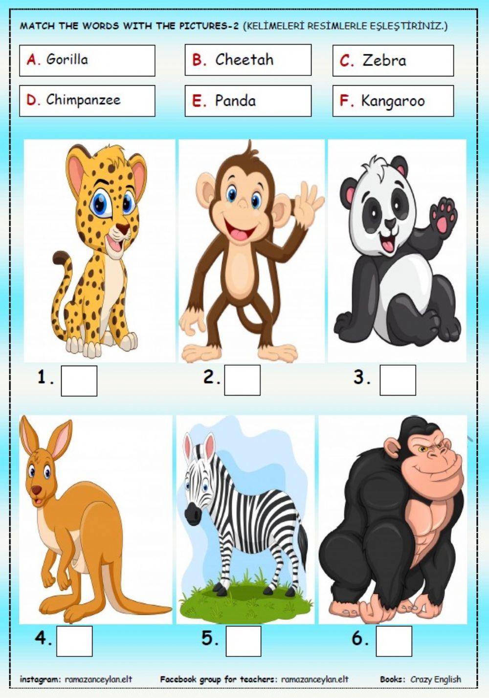 2.sınıf 1.ünite ByÖğretmenÇocuk