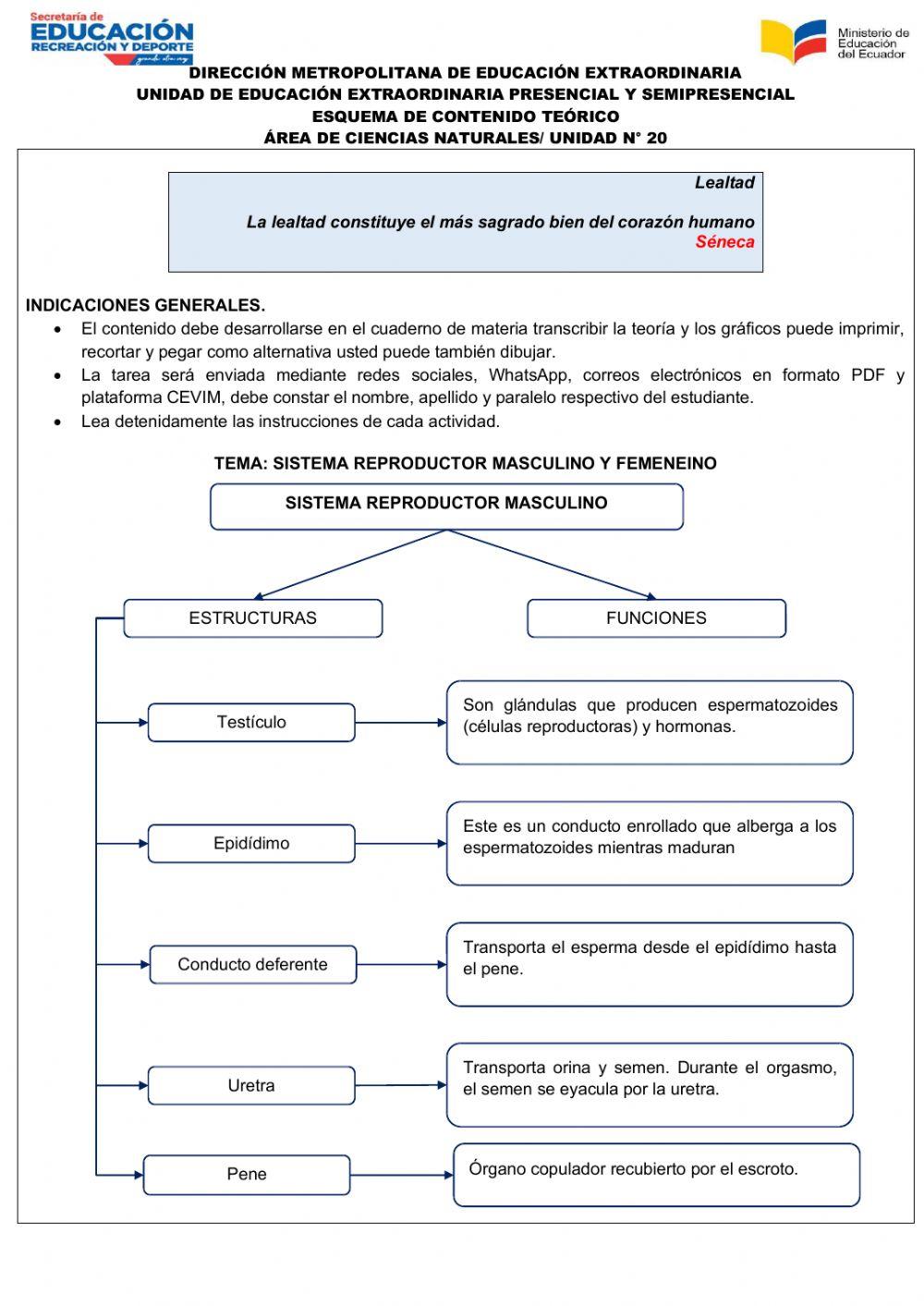 Unidad de Ciencias Naturales 20