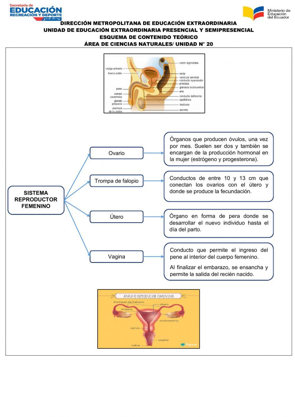 Unidad de Ciencias Naturales 20