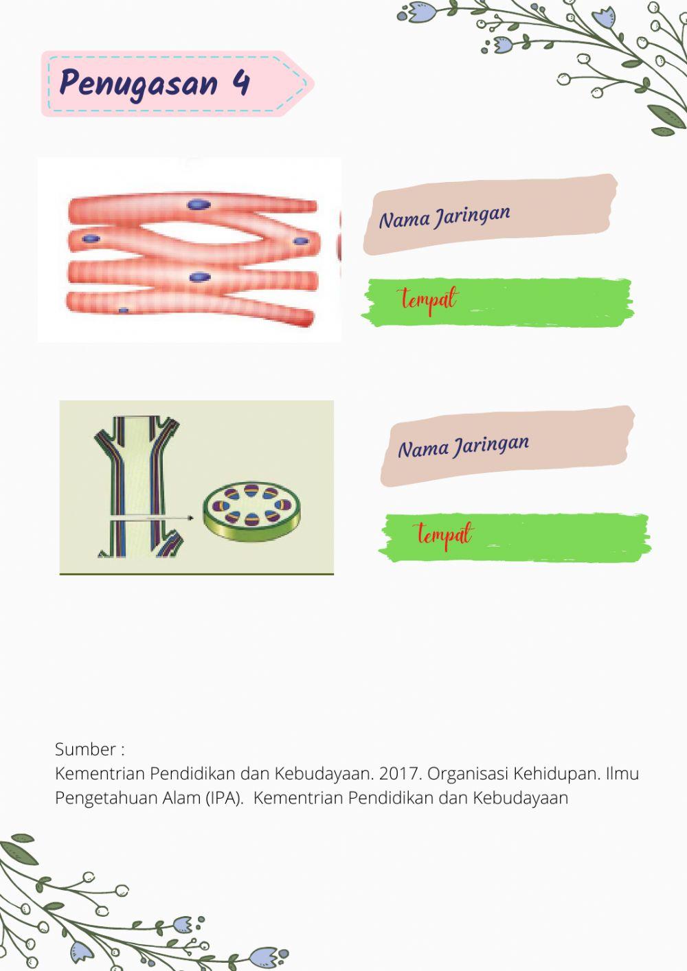 Jaringan pada makhluk hidup