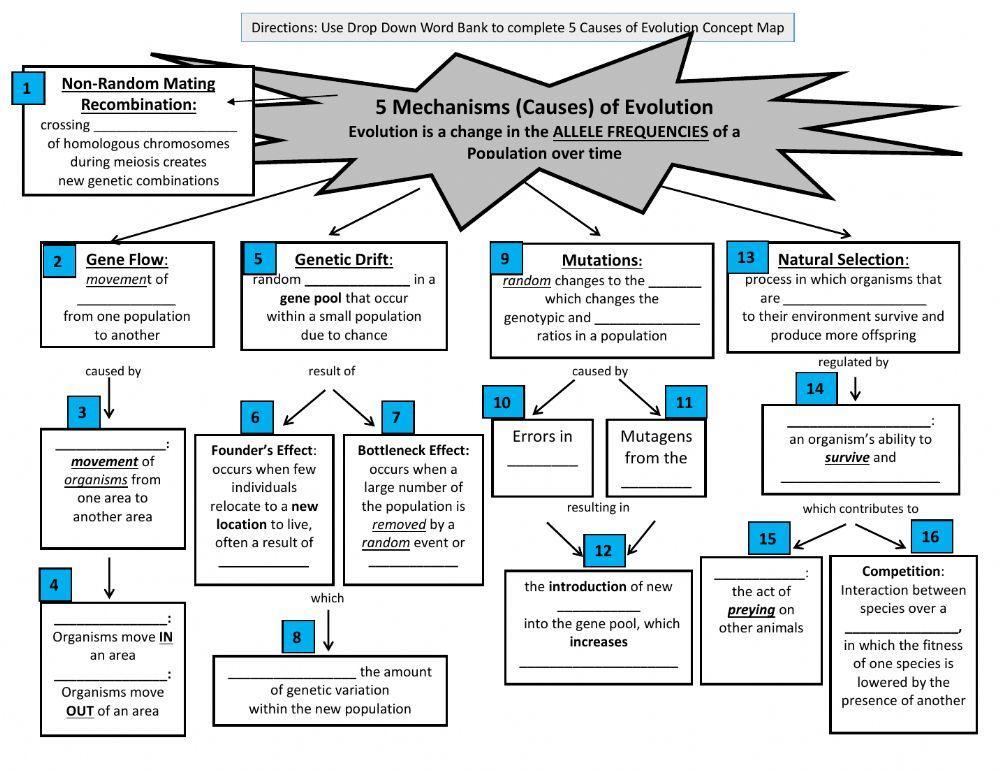 5 Mechanisms (Causes) of Evolution