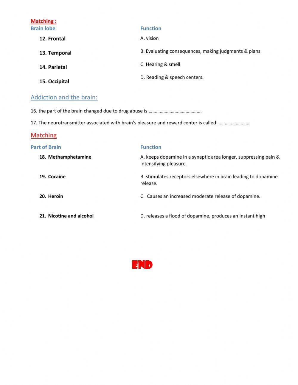 L31.2 THE CENTRAL NERVOUS SYSTEM