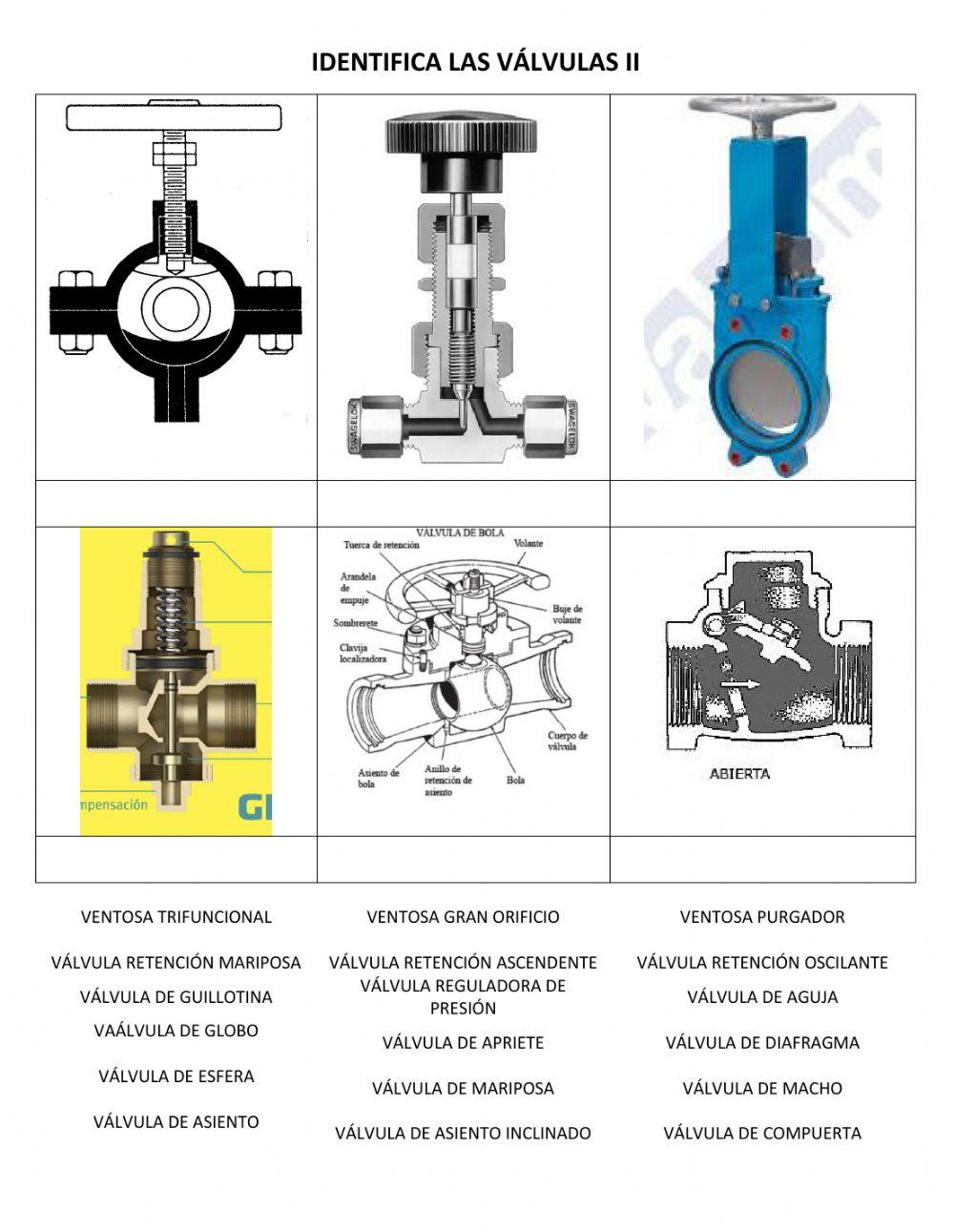 Identifica válvulas II