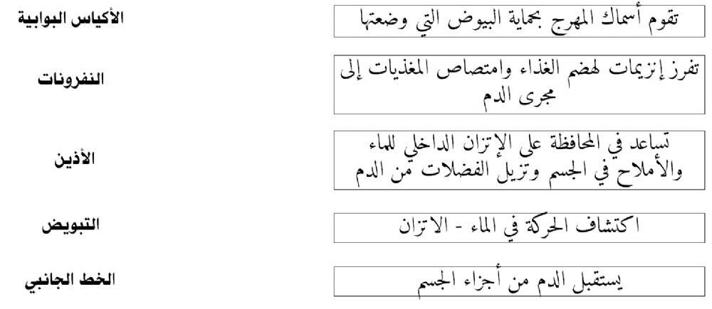 العمليات الحيوية بالأسماك