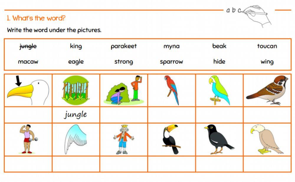 The Bird King - What's the word
