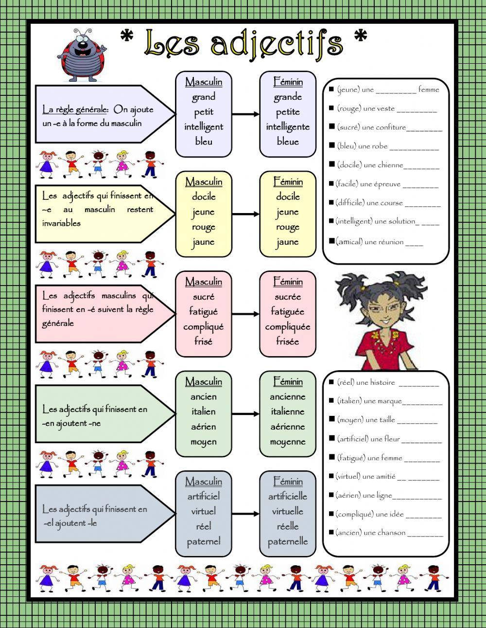 Le féminin des adjectifs