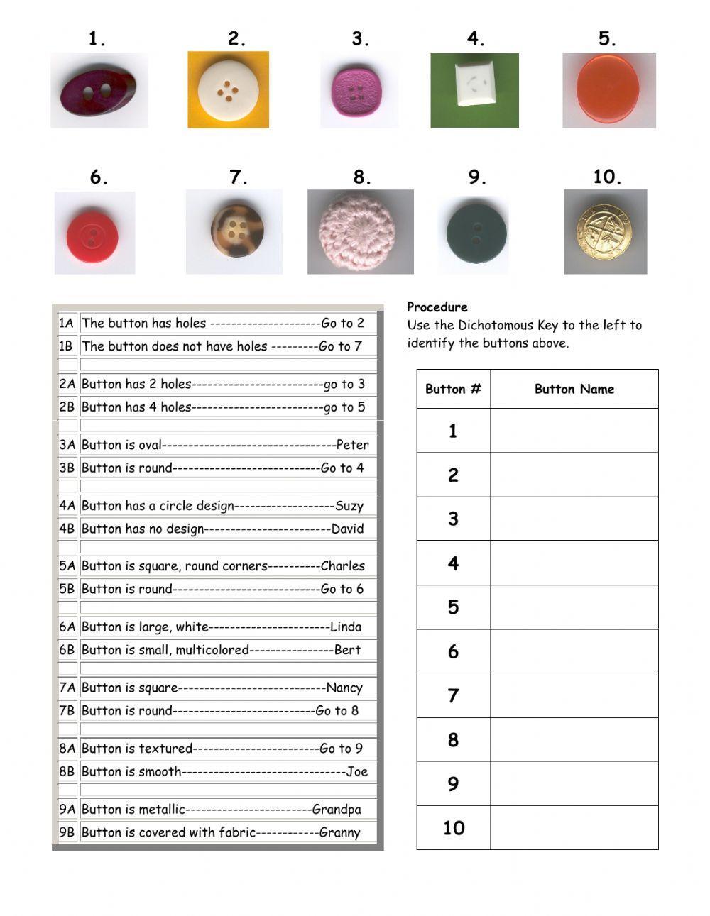 Dichotomous Key Prac