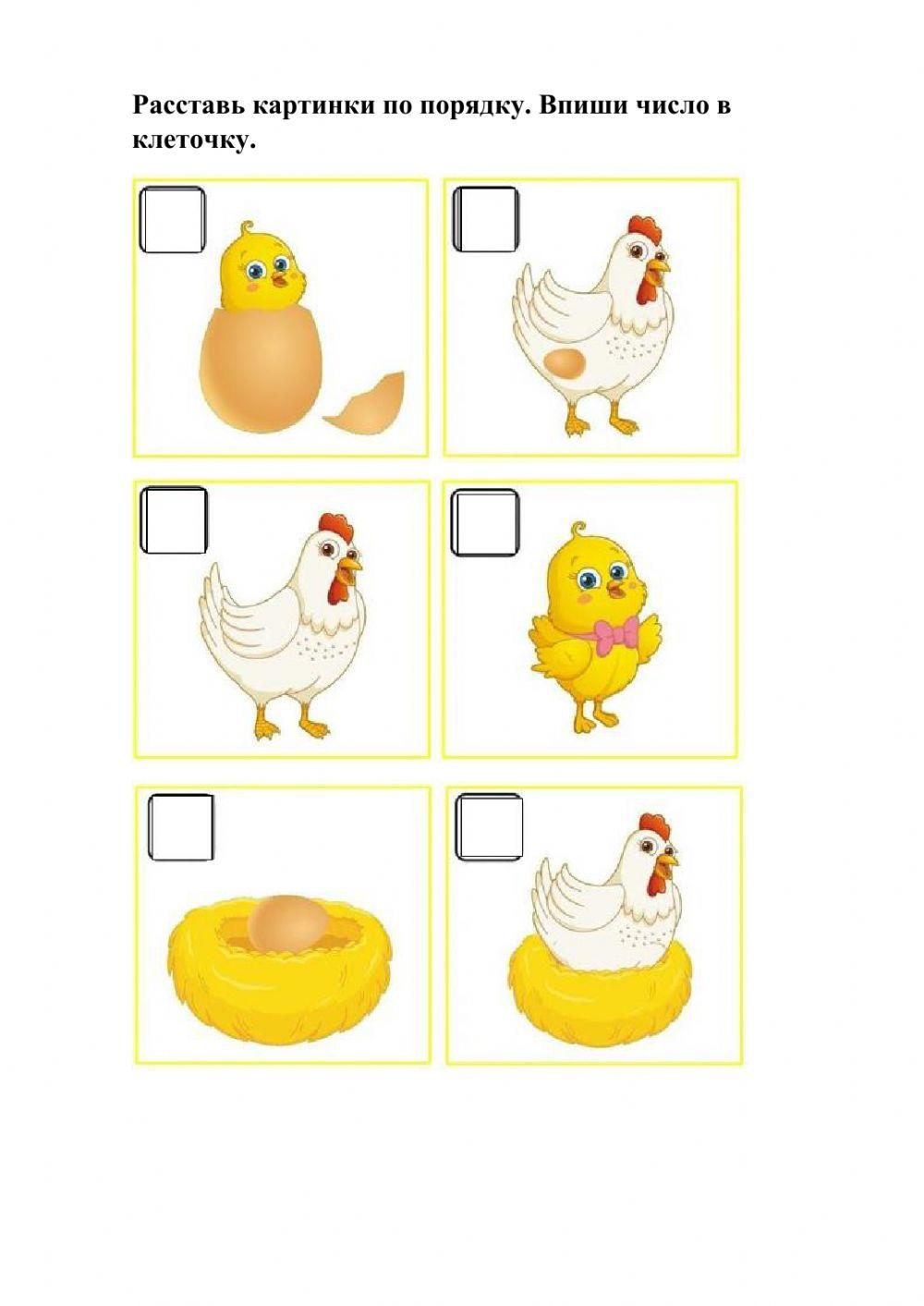 Окружающий мир