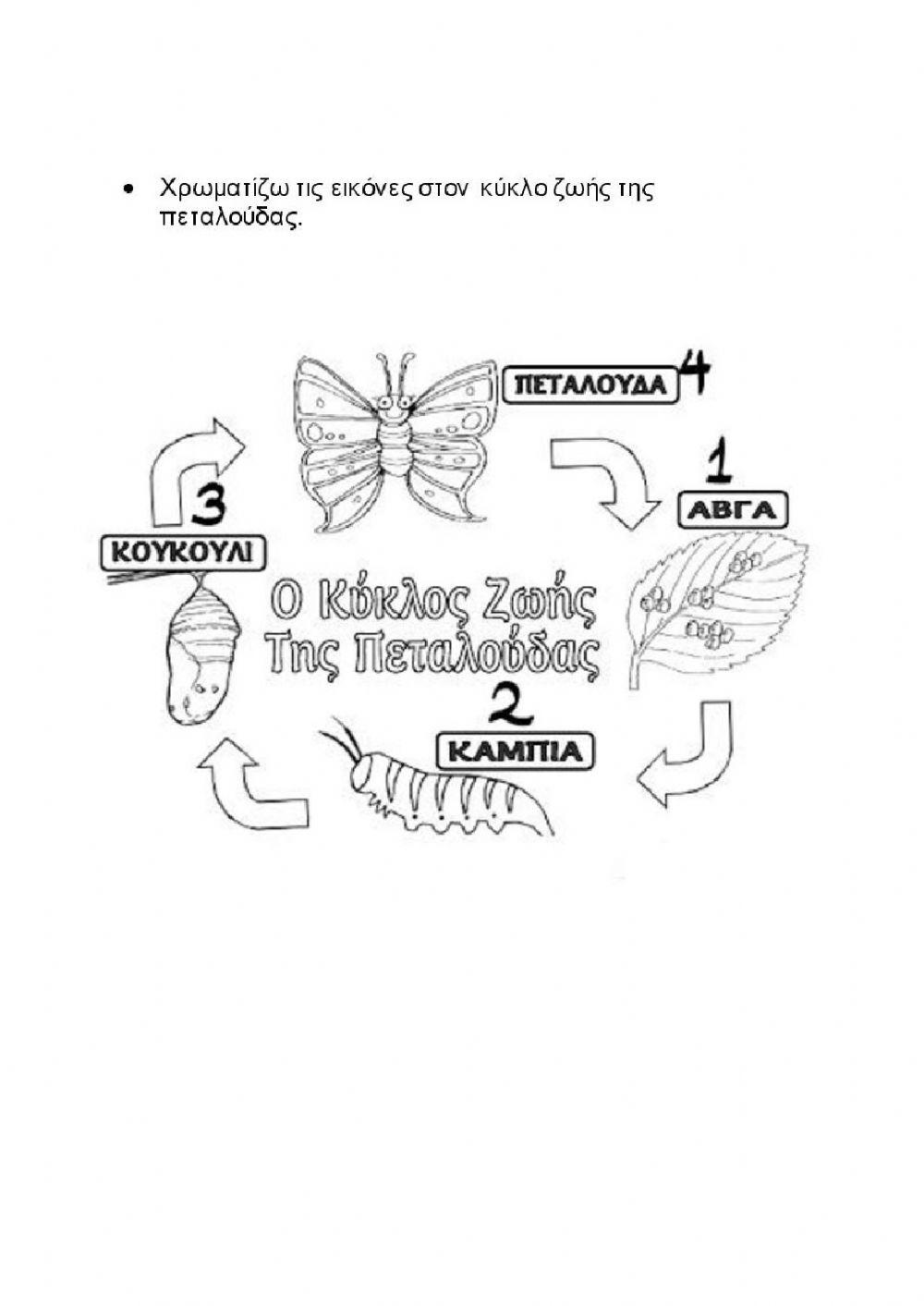 Τετράδιο εργασιών: Ο βιότοπος της Κοιλάδας των Πεταλούδων 1