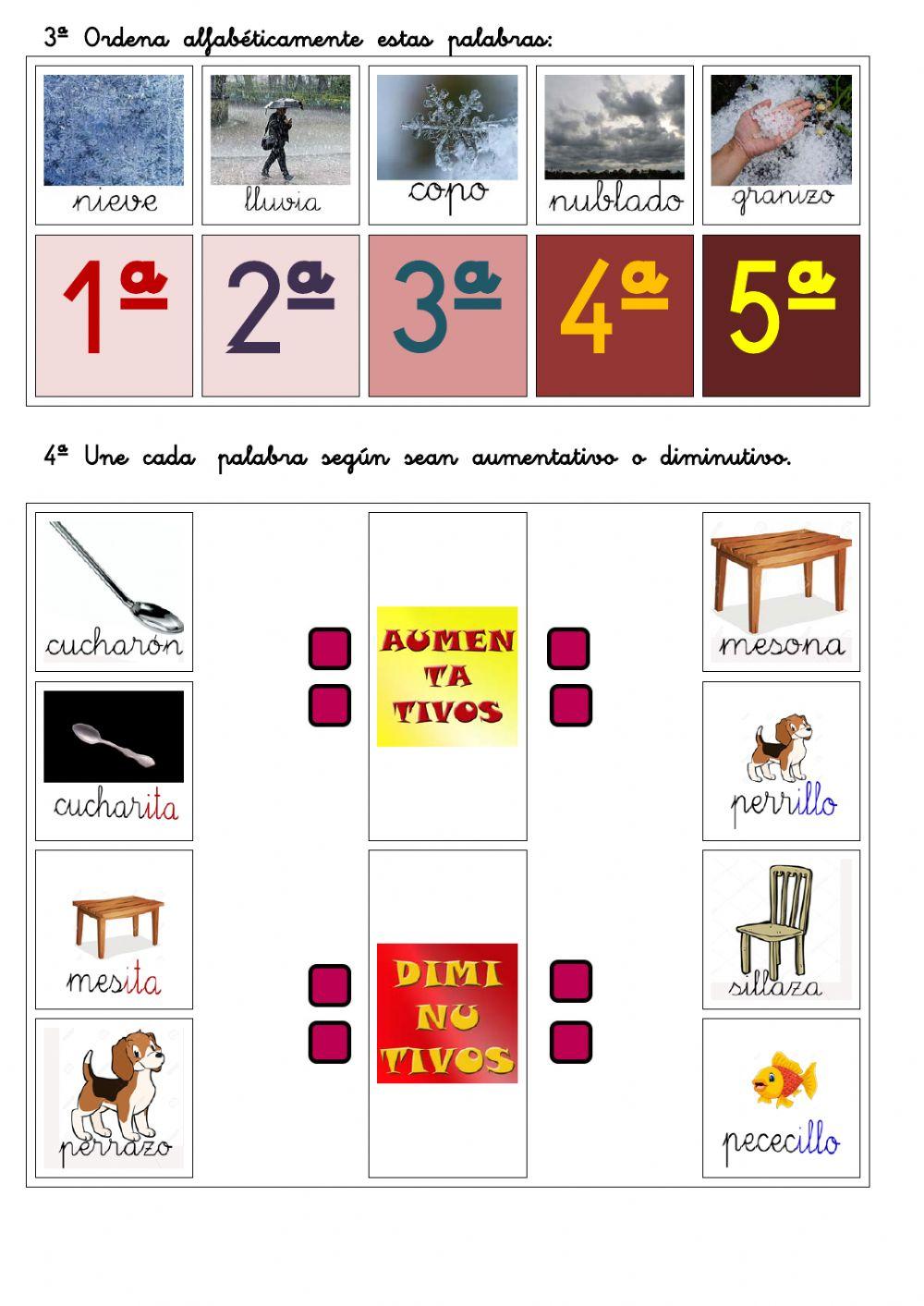 Comprensión Lectora 3º EP 10.- Determinantes POSESIVOS y AUMENTATIVOS
