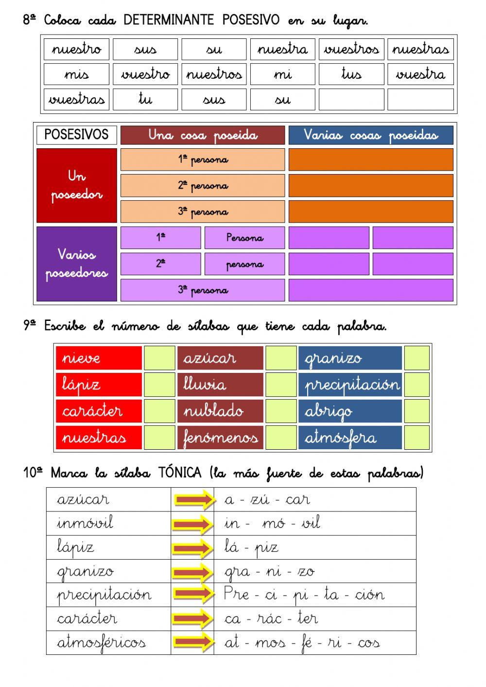 Comprensión Lectora 3º EP 10.- Determinantes POSESIVOS y AUMENTATIVOS