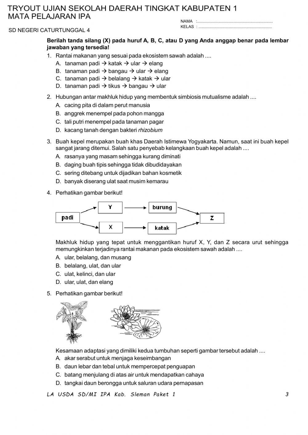 TRYOUT Tingkat Kabupaten I