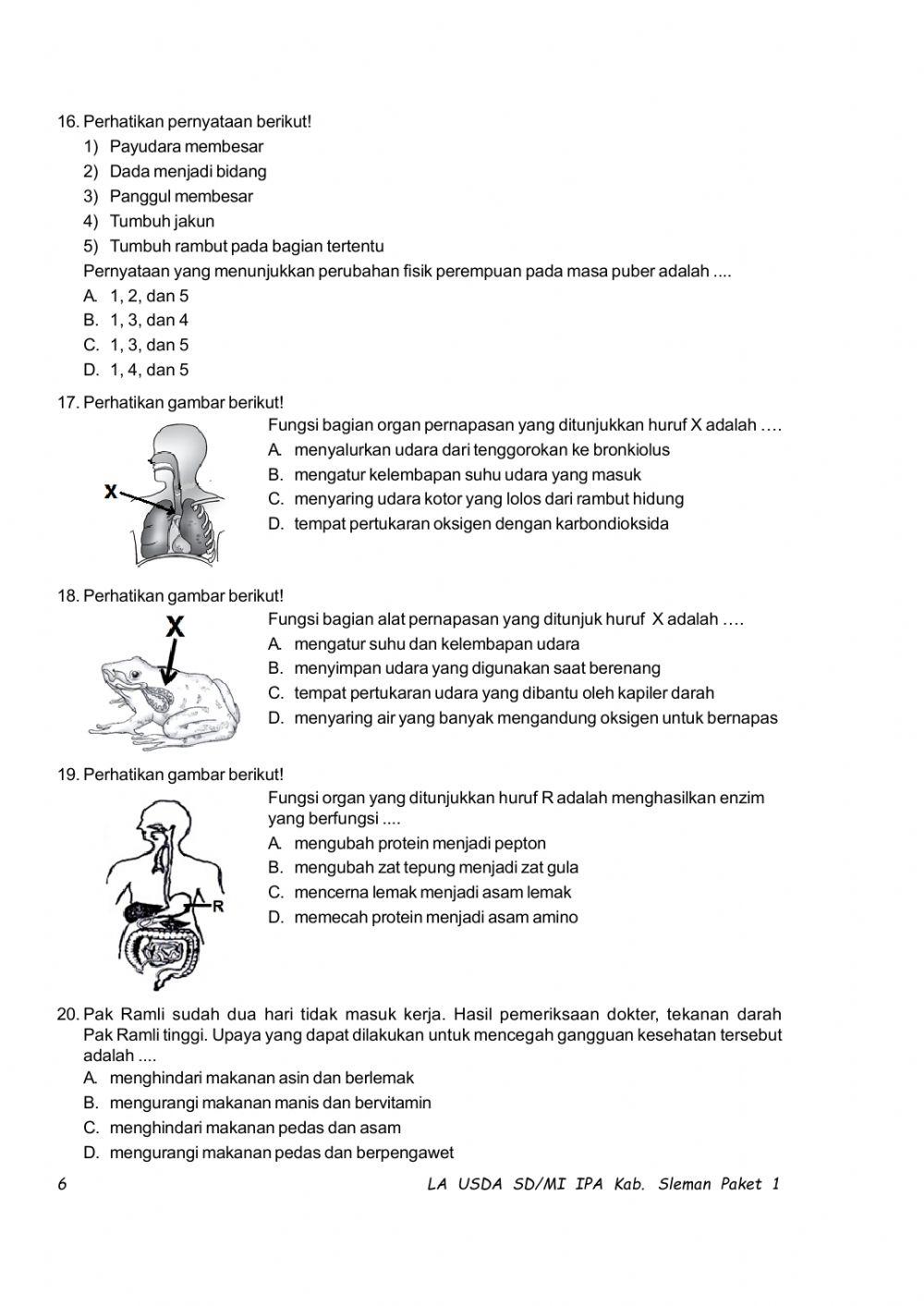 TRYOUT Tingkat Kabupaten I