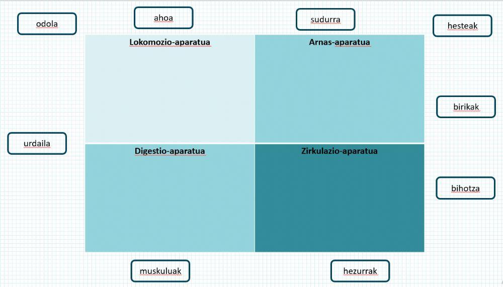 Aparatuak eta organoak