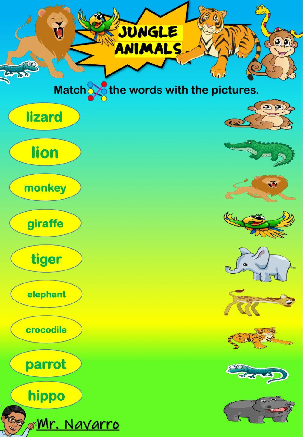 Jungle Animals (Match the words with the pictures)