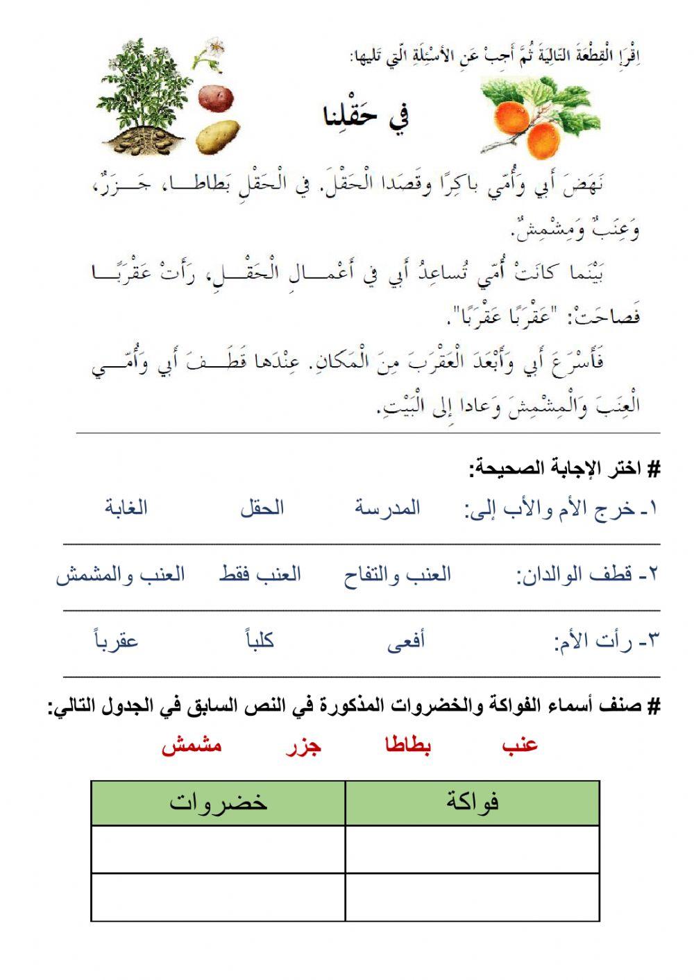 في حقلنا-فهم المقروء