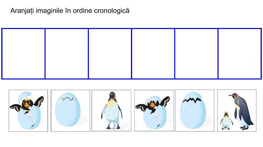 Ordine cronologica - De la ou la pinguin