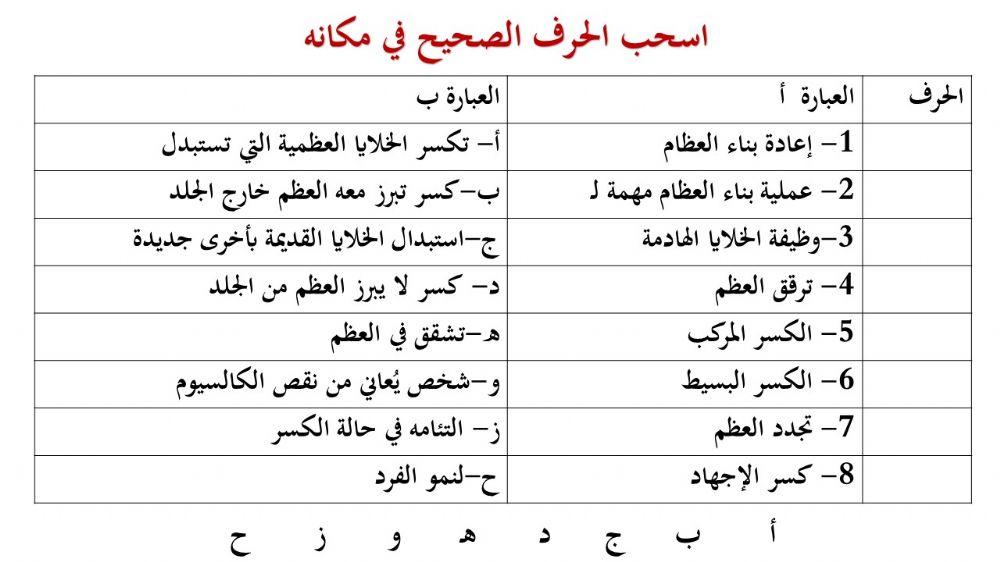 الجهاز الهيكلي - 5