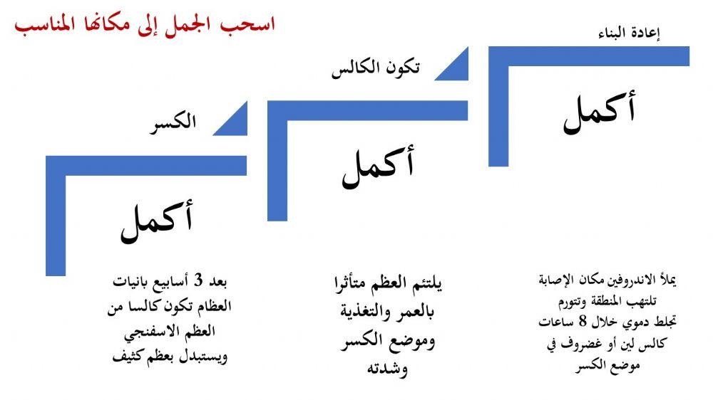 الجهاز الهيكلي -7