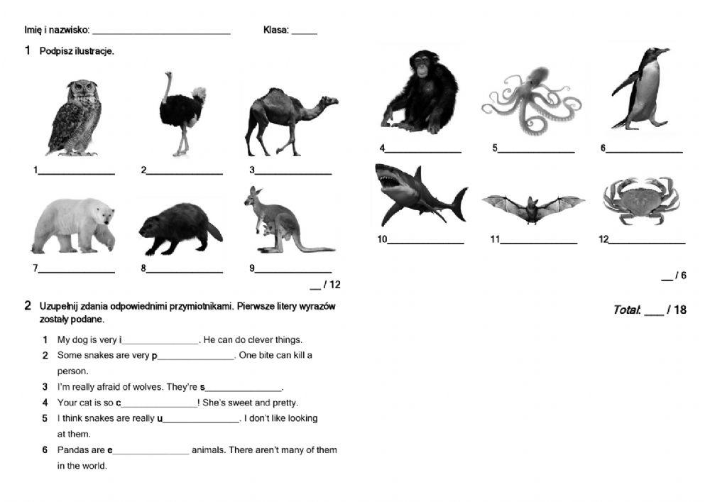 Brainy Klasa 6 Testy Pdf Unit 4 646644 | Brainy 6 unit 4 | Anita Stefańska
