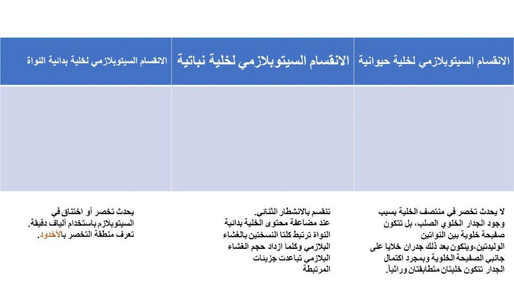 انقسام السيتوبلازمي