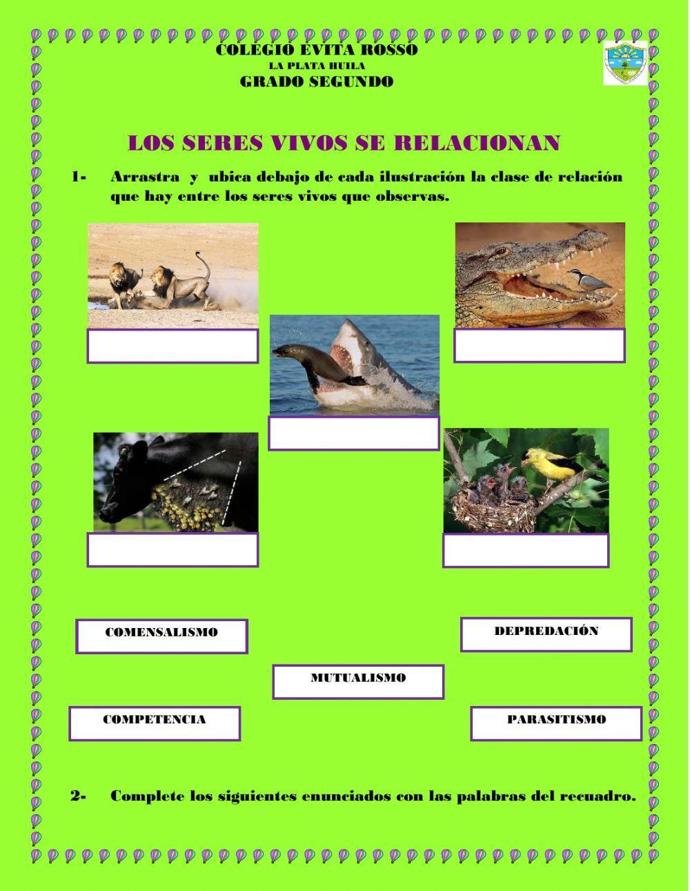 Los seres vivos se relacionan