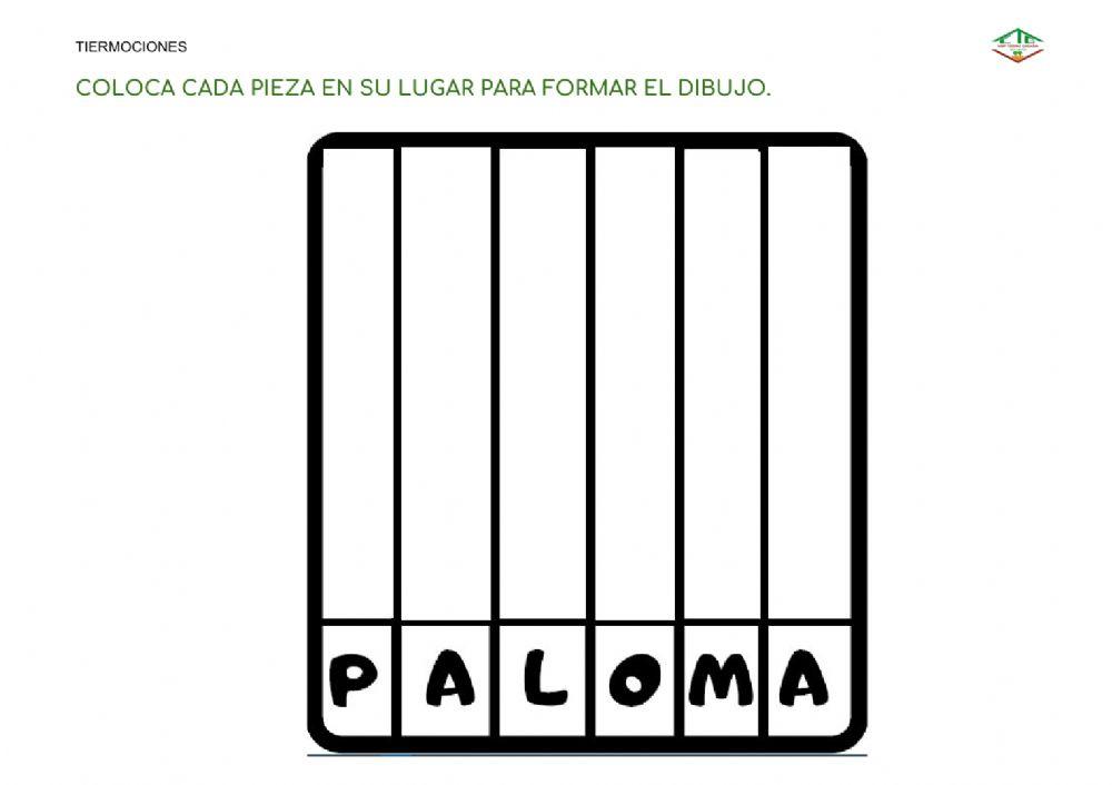La paz - paloma