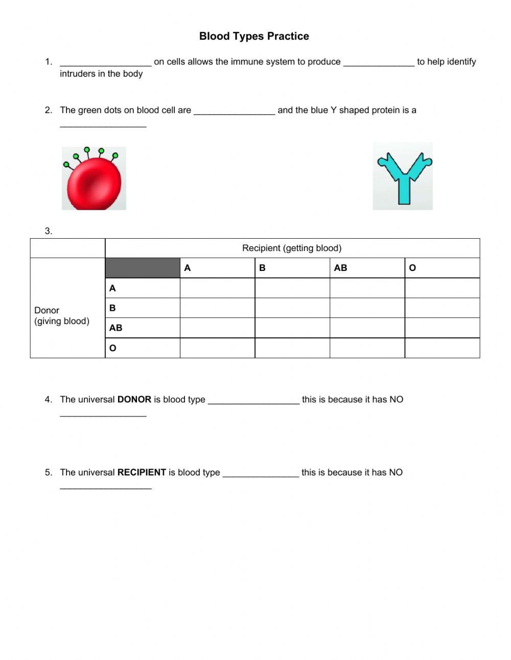 Blood Type Practice 4626387 arudman LiveWorksheets