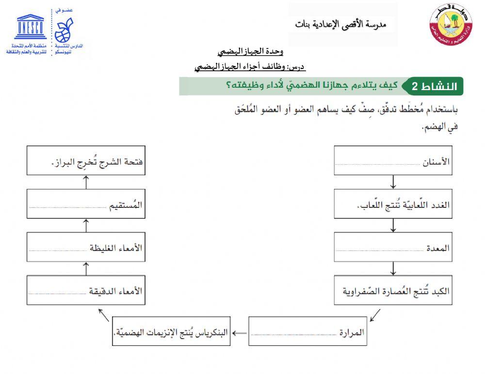 اعضاء الجهاز الهضمي