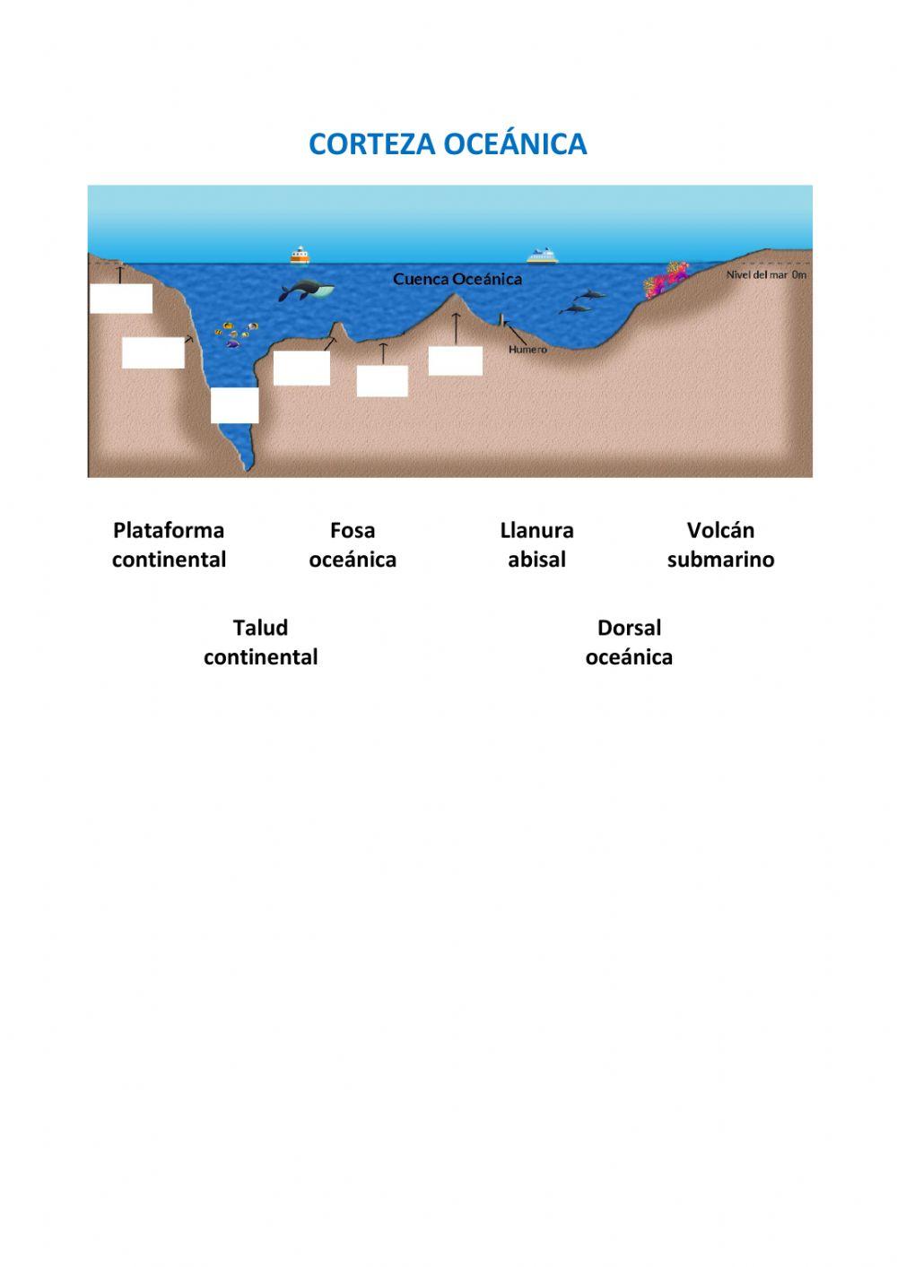 Corteza oceánica y corteza continental