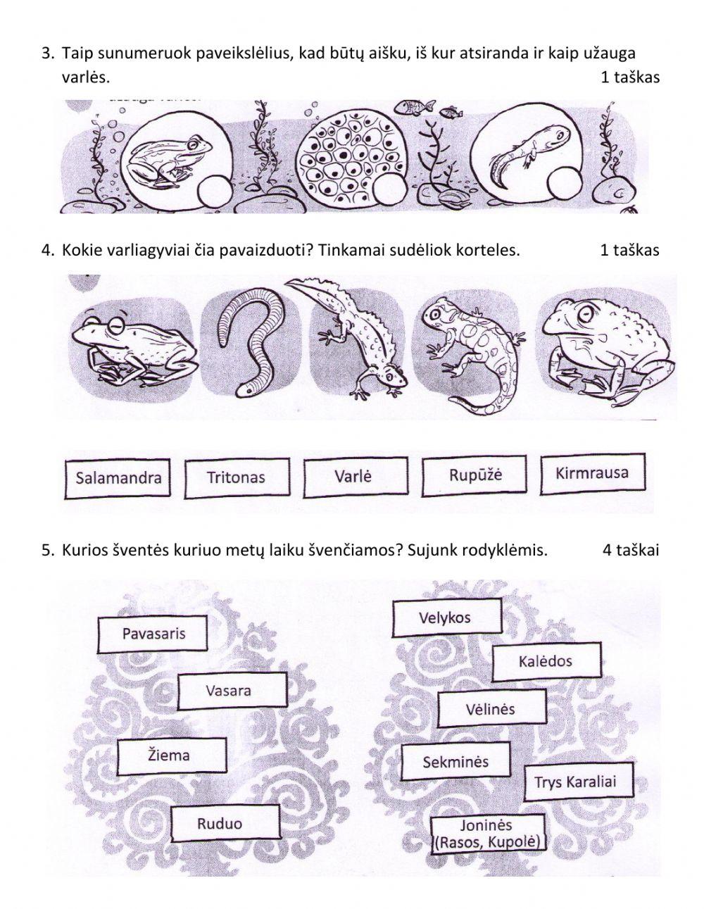 Pasaulio paž. testas Nr.4