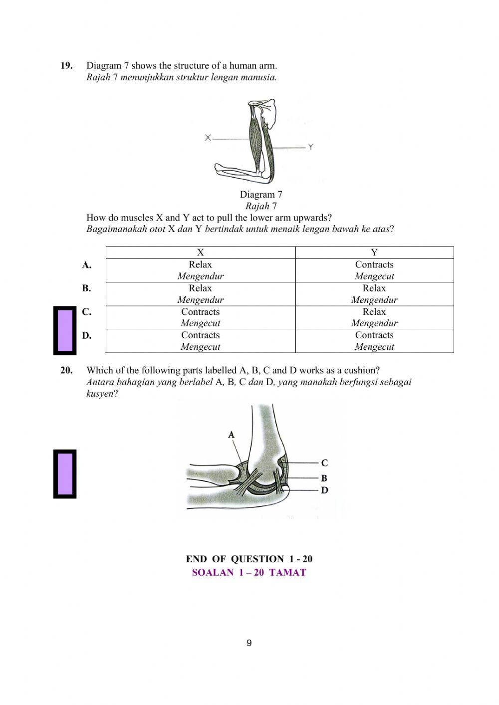 KSSM Sc P1 pat ting 4 sc serian 2020-q1-20