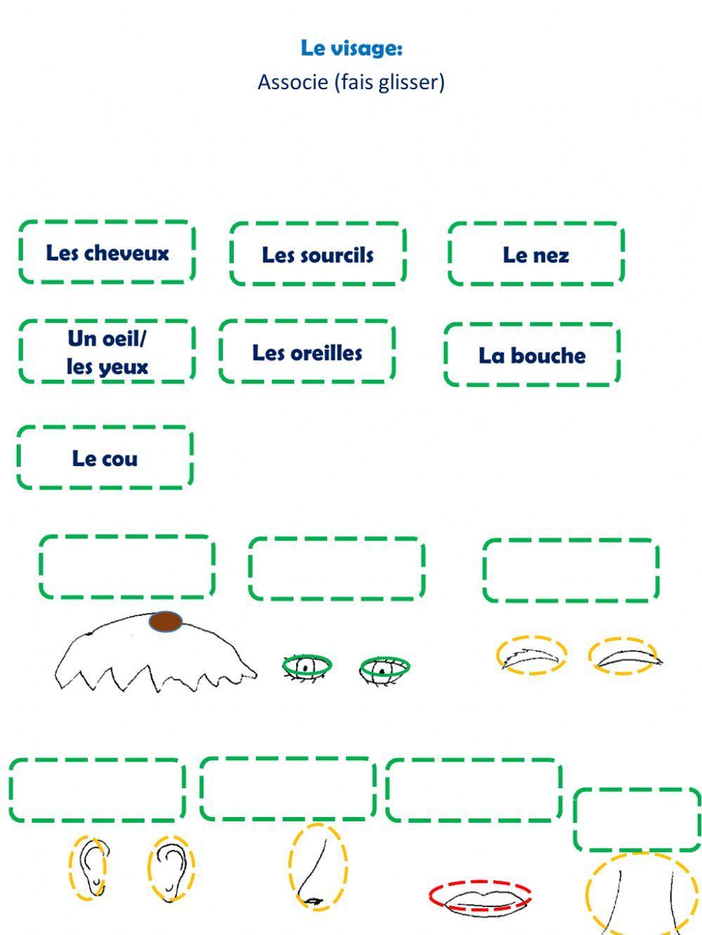 Le visage