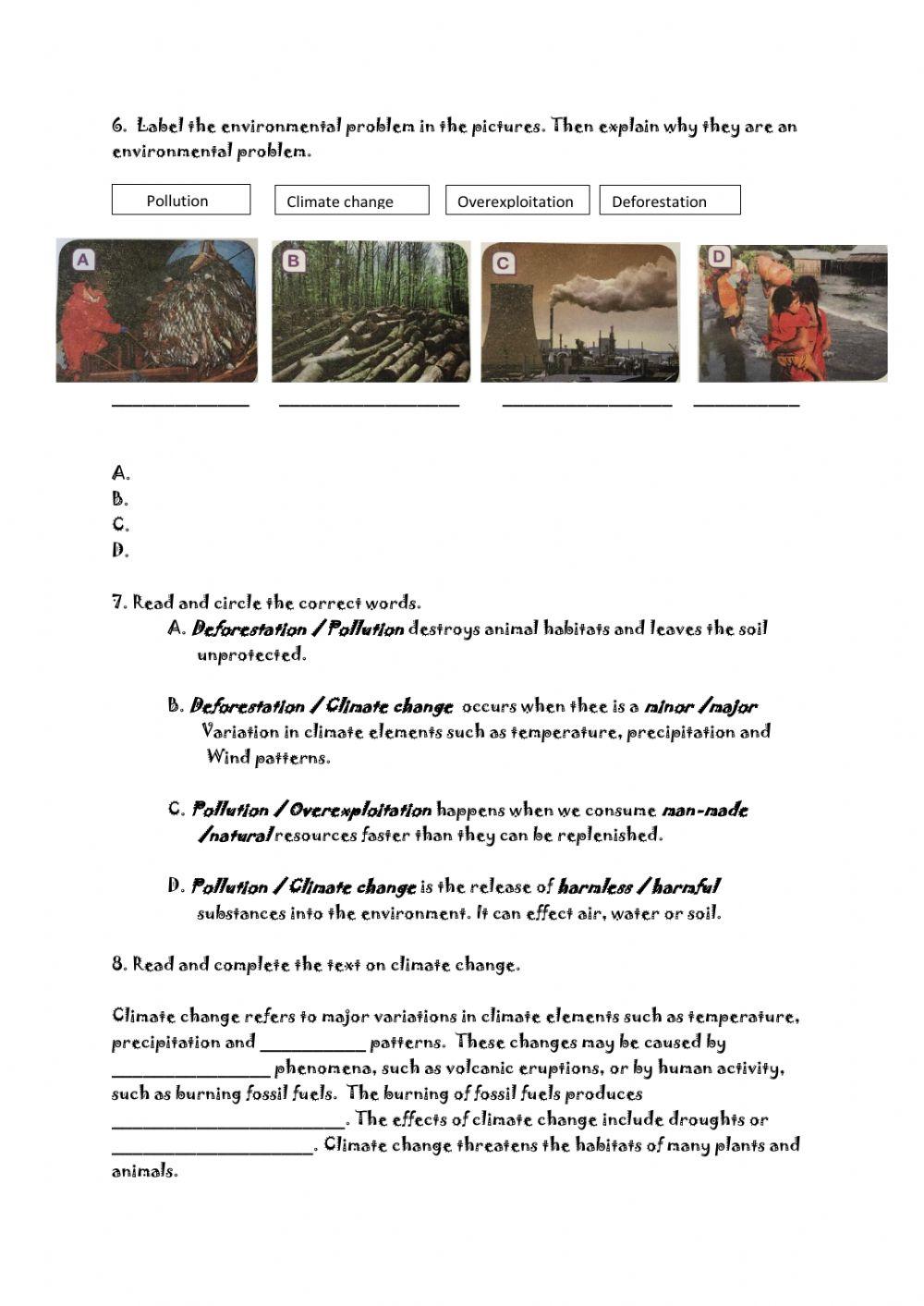 Human Impact on the Environment