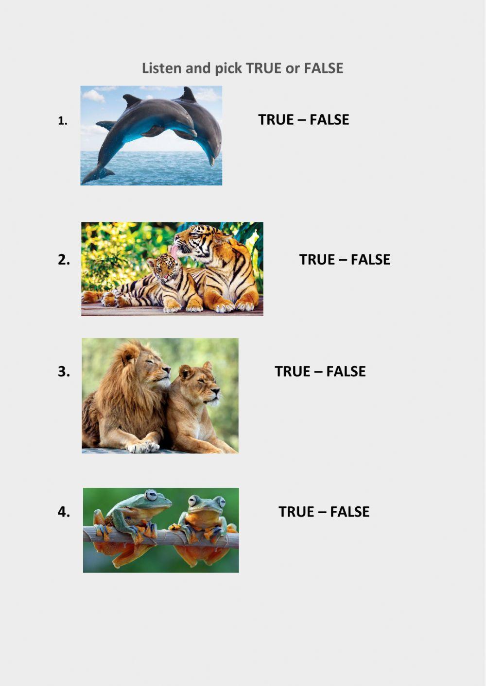 Poslech k HS 2, Lesson 4