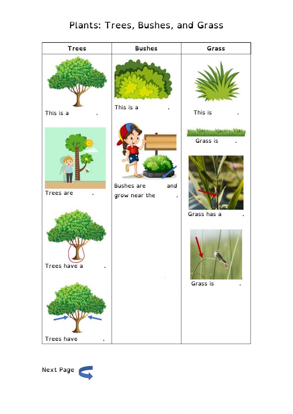 Plants: Trees, bushes, and grass