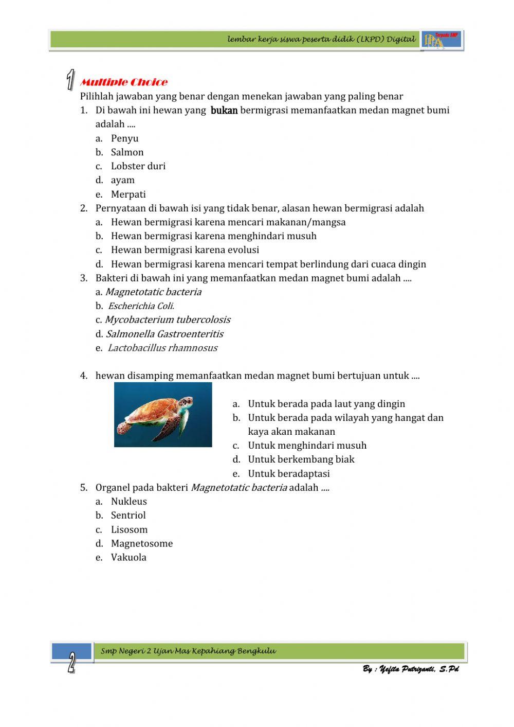 LKPD Kemagnetan pada Hewan