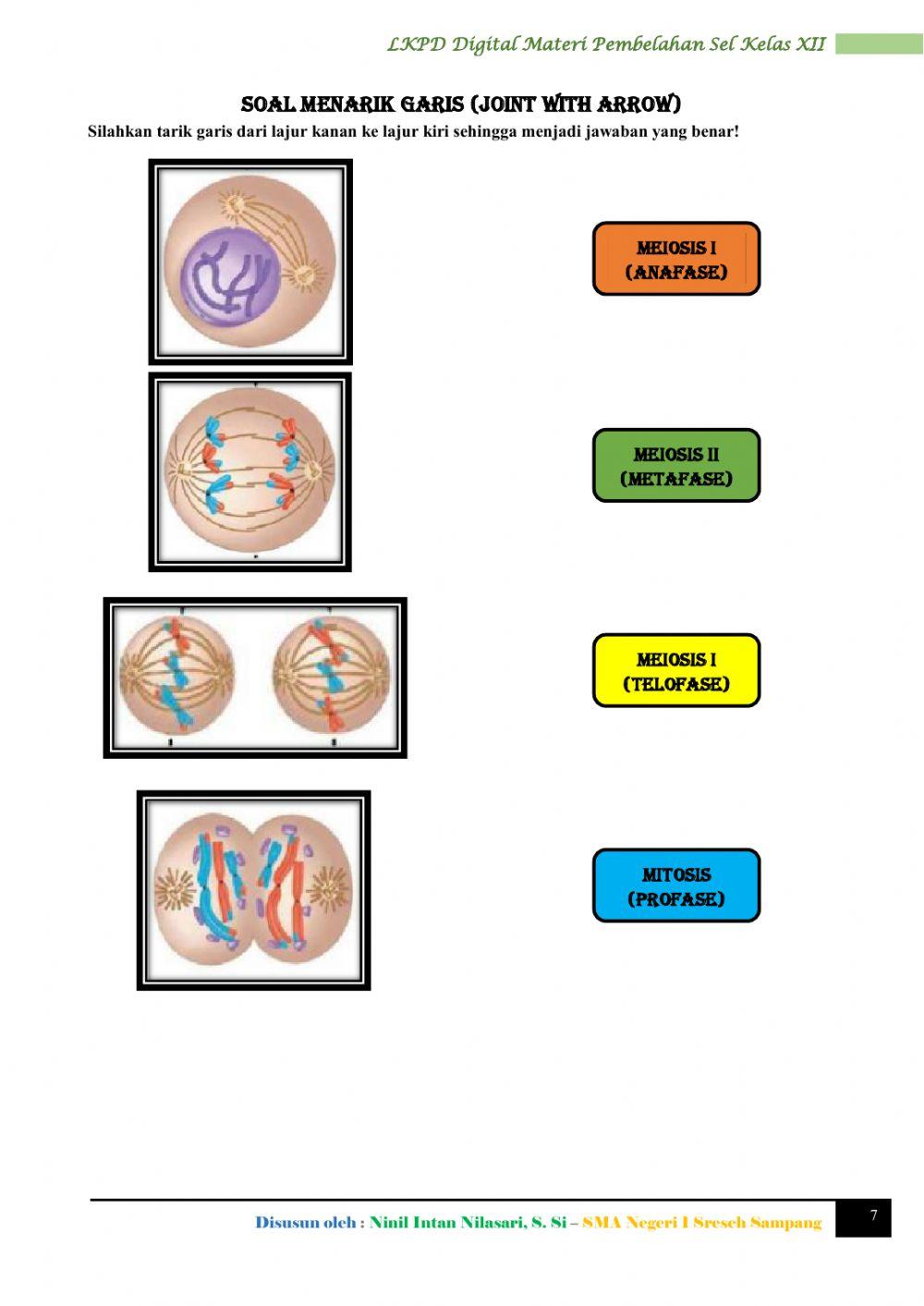 LKPD Digital Mata Pelajaran Biologi