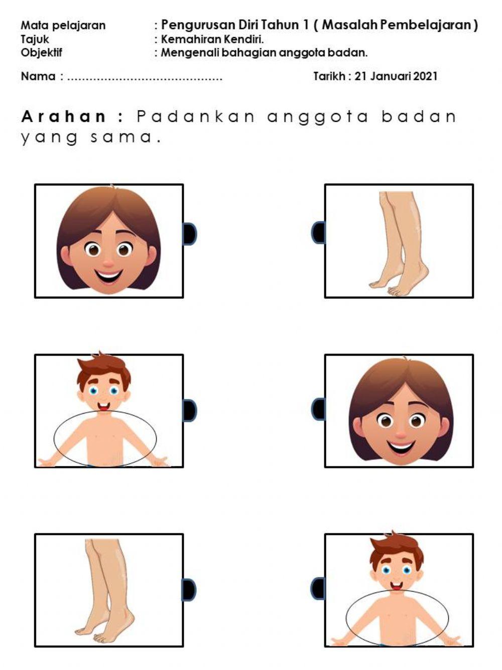 Mengenal bahagian anggota badan