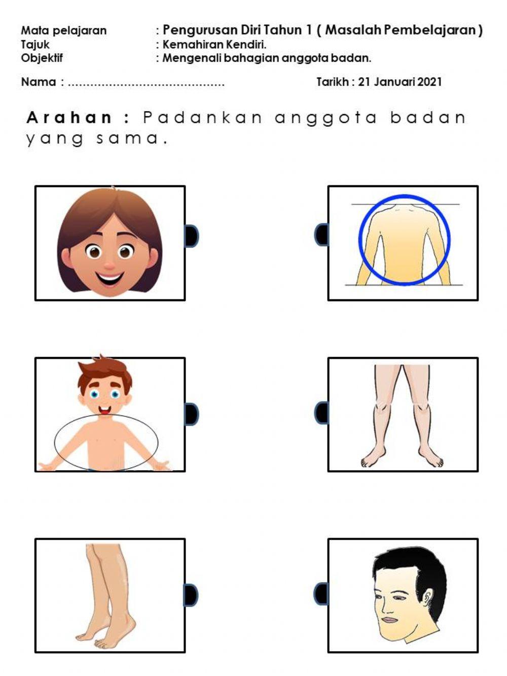 Mengenal bahagian anggota badan