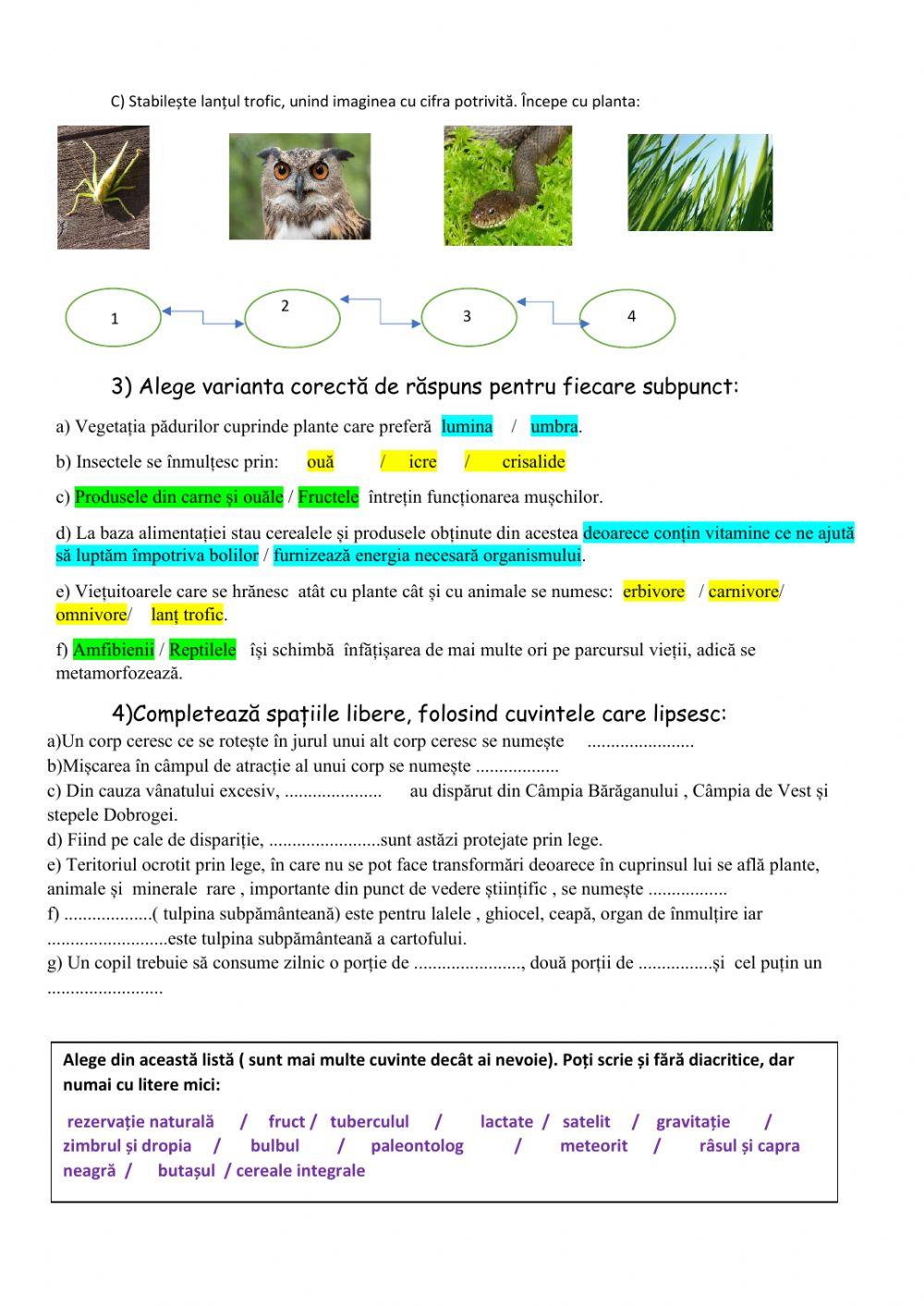 Evaluare sumativă sem I