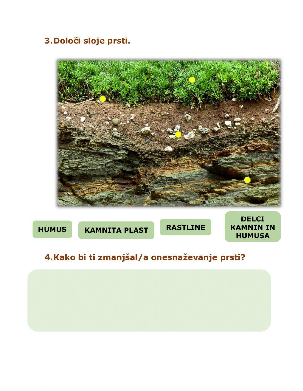 Utrjevanje znanja -PRST