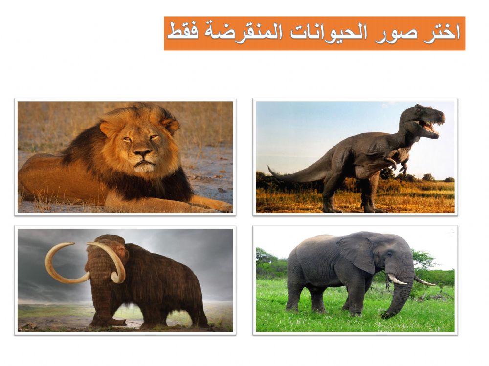 الحيوانات المنقرضة