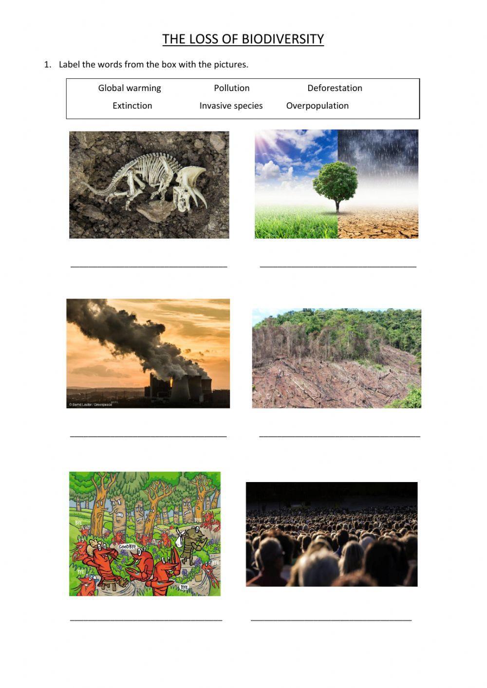 The loss of biodiversity