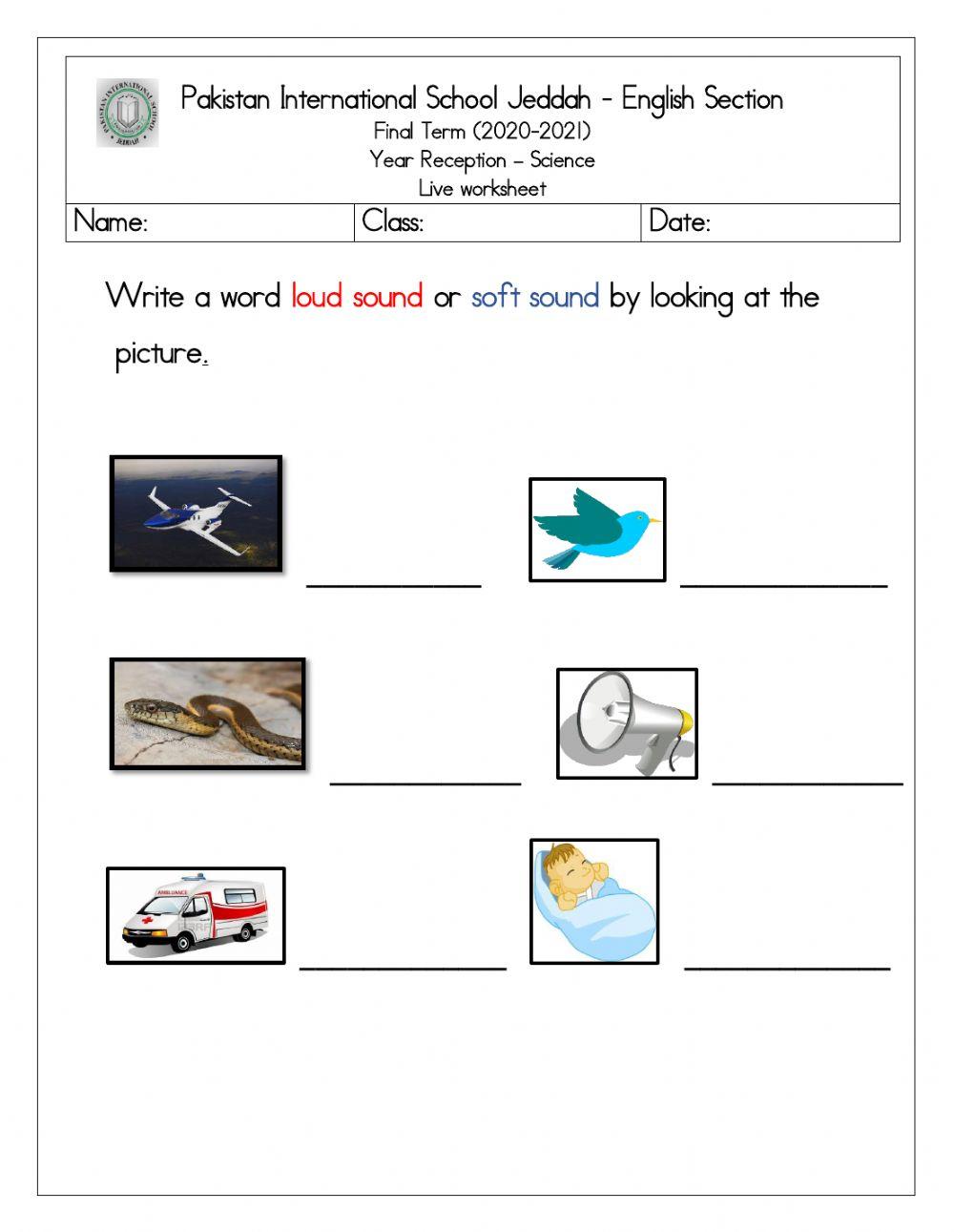 Science extra support ws