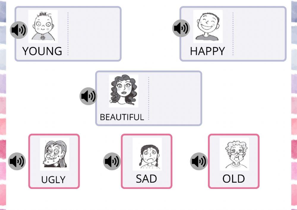 Opposites Adjectives 1º