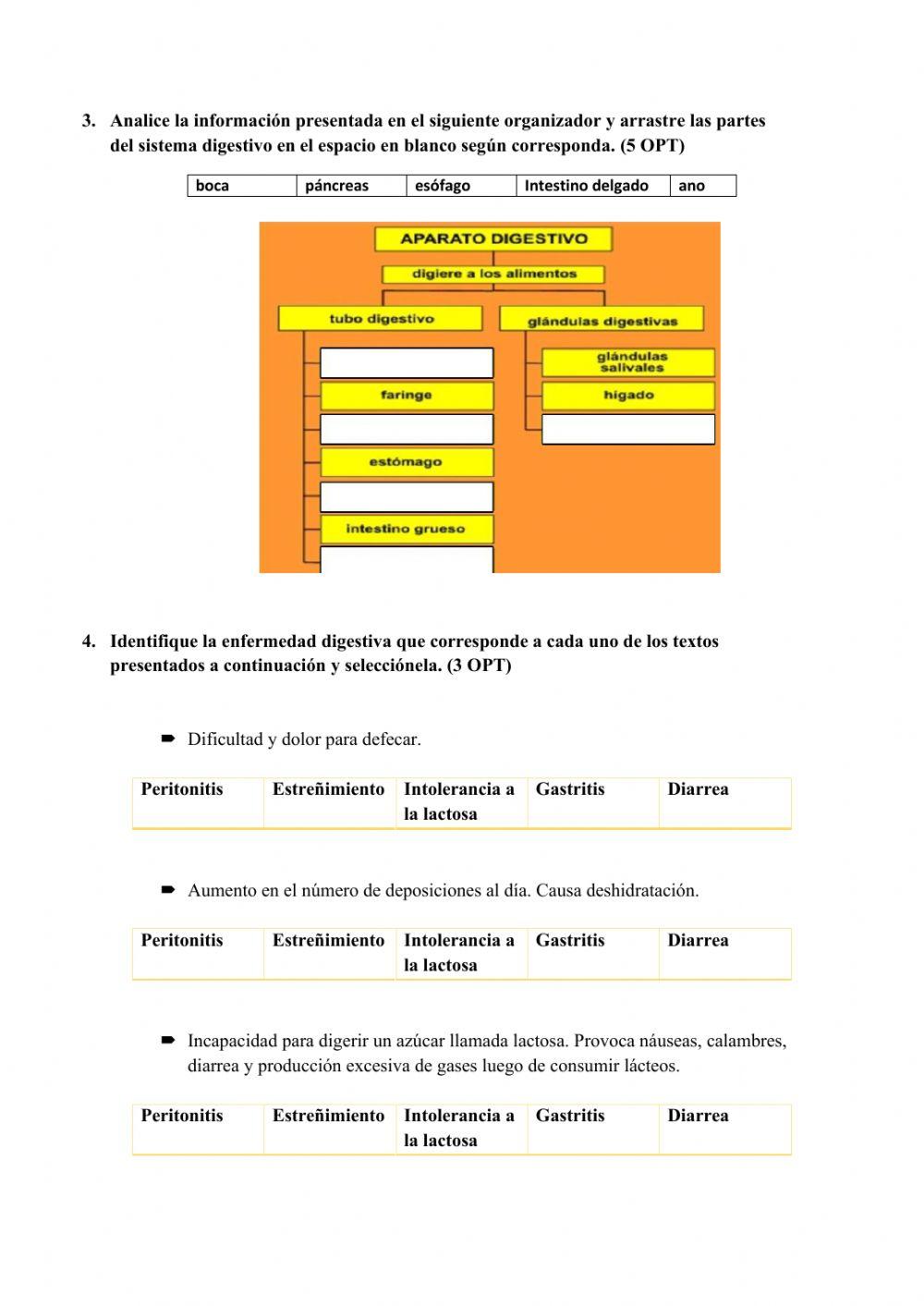 Prueba Parcial 2 Ciencias Naturales